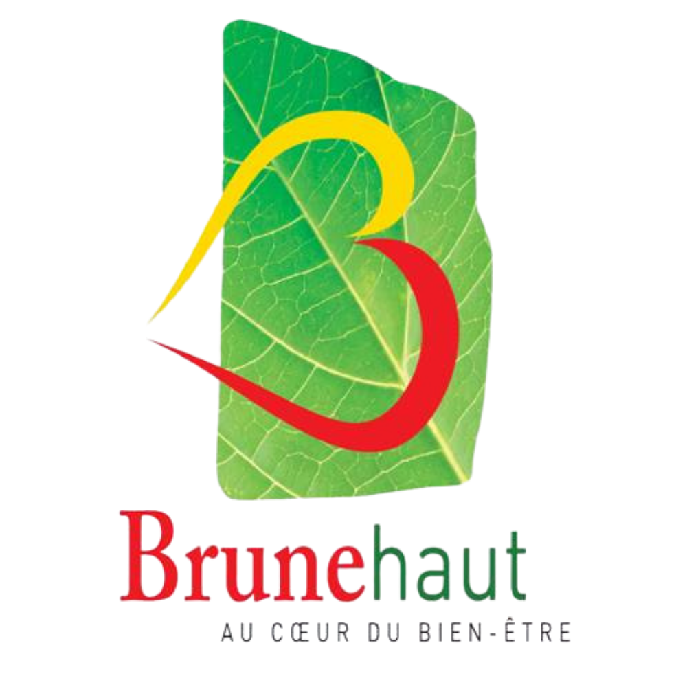 Logo de la commune de Brunehaut