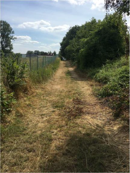 Sentier herbeux étroit bordé d’arbustes et de végétation dense, longeant une clôture métallique sous un ciel partiellement nuageux