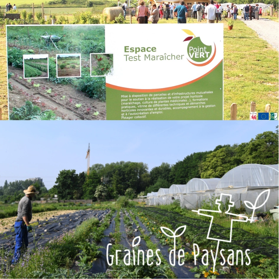 deux images collées ensemble. Celle du haut avec un panneau explicatif d'un espace test maraicher et celle du bas avec un potager et une inscription "Graines de paysans"
