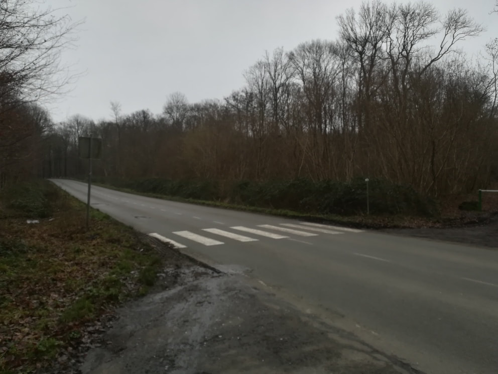 route asphaltée avec un passage piéton