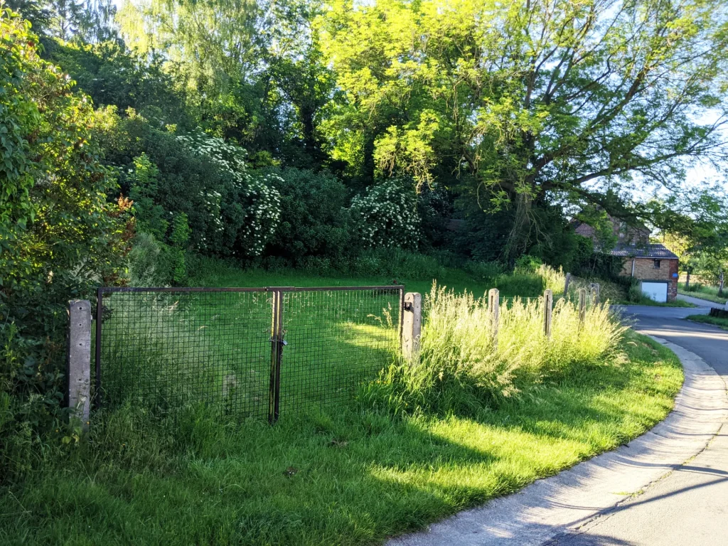 Terrain enherbé bordé d'une clôture métallique et d'arbres matures à Wansin (Hannut), le long d'une route de campagne. La végétation est dense et verdoyante, avec de grands arbres, des arbustes en fleurs et une maison en arrière-plan.