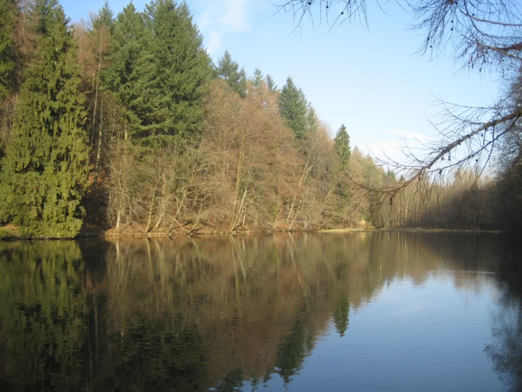Photo de l'étang de la Soye à Sommethonne