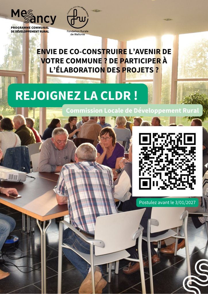 Flyers pour les candidatures à la CLDR