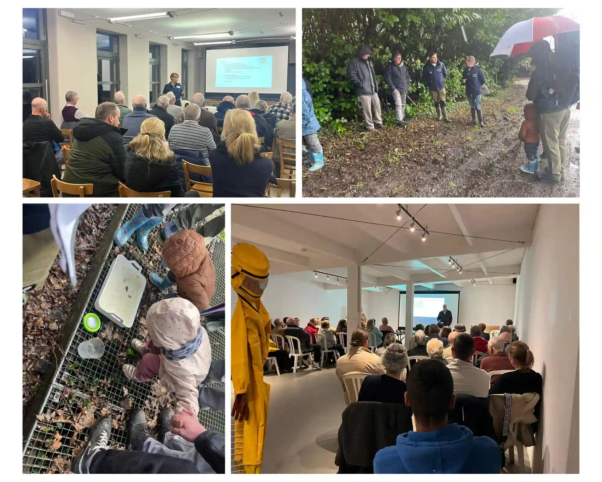 Regroupement de plusieurs photos des activités hivernales : mare, conférence frelon et ORES