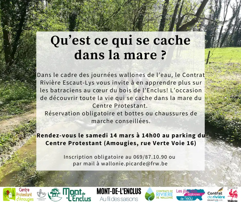 Visuel annoncant une activité le 14/03/26 à 14h au Centre Protestant d'Amougies (rue verte voie 16). L'activité est intitulée "qu'est ce qui se cache dans la mare" et a lieu dans le cadre des journées wallonnes de l'eau avec le Contrat Rivière Escaut Lys. L'inscription est obligatoire et à faire par mail à wallonie.picarde@frw.be ou au 069/87.10.90. Des bottes/chaussures de marche sont conseillés