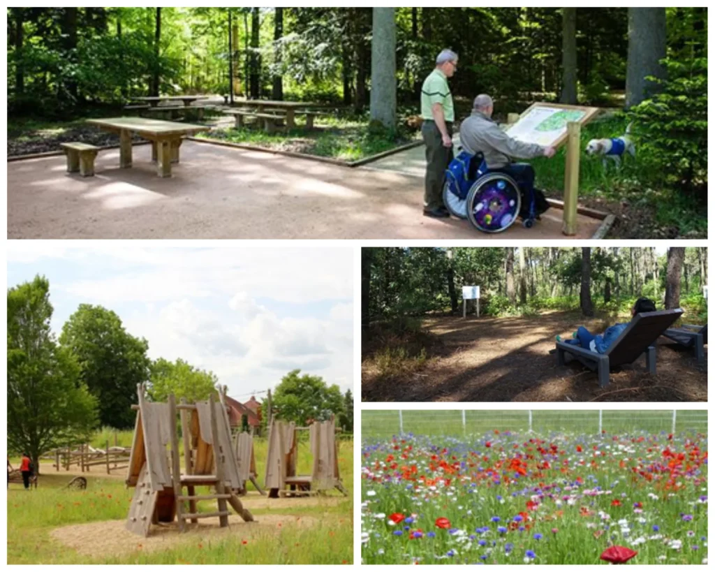 photos de bancs en bois, de parterre fleuri, de jeux en bois