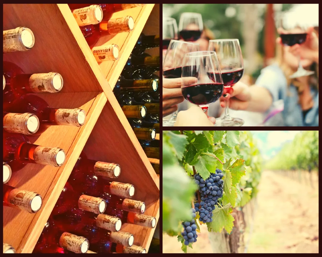 image de bouteilles de vin rangées, image de verres de vin rouge et image de vignes avec raisin