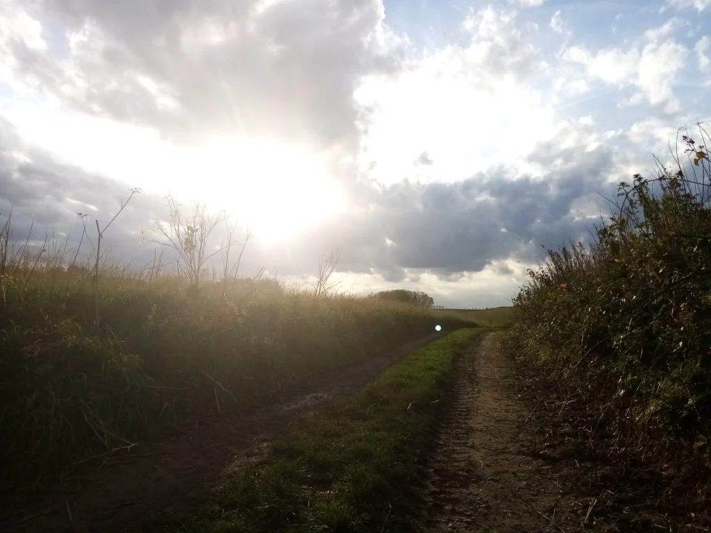 Chemin de terre bordé de hautes herbes sous un ciel nuageux avec un soleil éclatant en contre‑jour